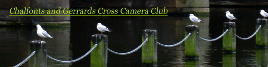 candgxcameraclub